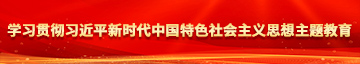 黄污乳阴学习贯彻习近平新时代中国特色社会主义思想主题教育